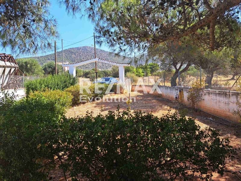 Μονοκατοικία στην Κέντρο, Καλύβια Θορικού — Φωτογραφία 6 από 30