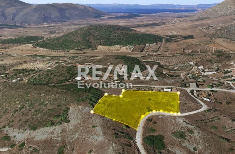 Αγροτεμάχιο στην Σάκκα, Κερατέα — Φωτογραφία 3 από 5