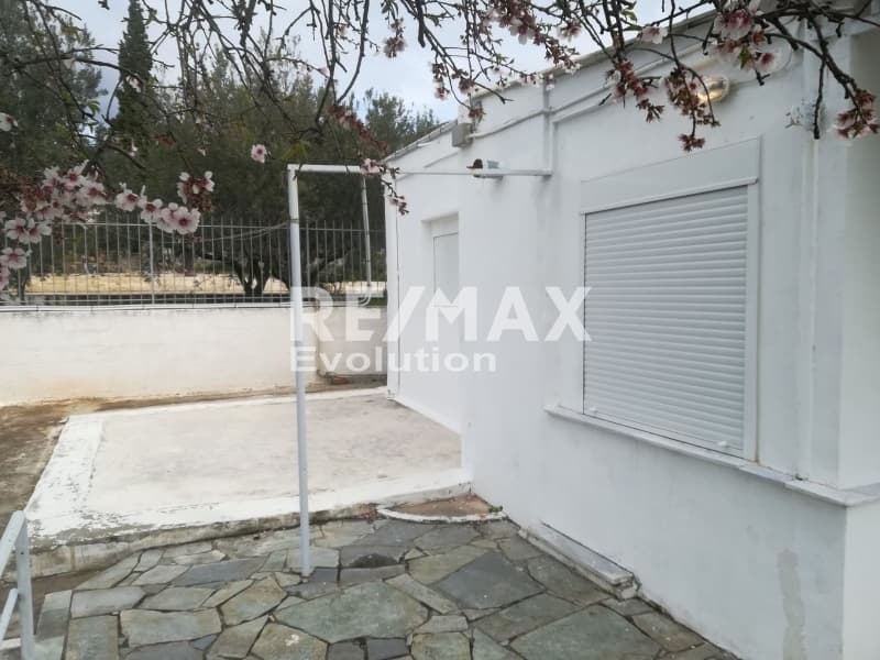 Μονοκατοικία στην Καλύβια, Καλύβια Θορικού — Φωτογραφία 6 από 13