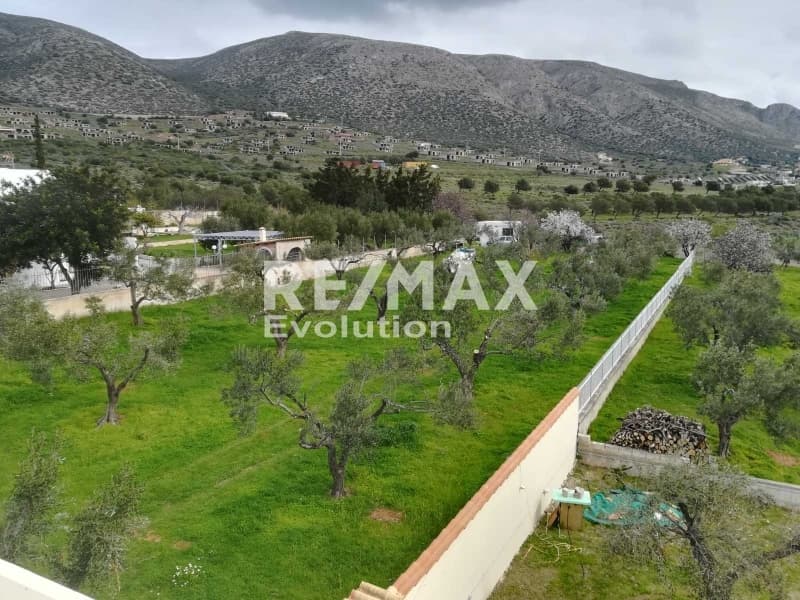 Μονοκατοικία στην Καλύβια, Καλύβια Θορικού — Φωτογραφία 3 από 13