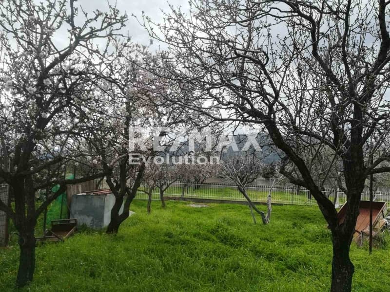 Μονοκατοικία στην Καλύβια, Καλύβια Θορικού — Φωτογραφία 11 από 13