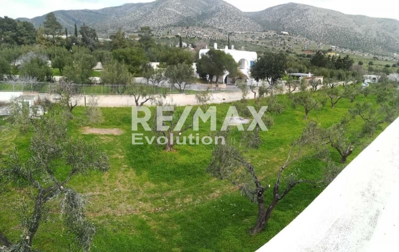 Μονοκατοικία στην Καλύβια, Καλύβια Θορικού — Φωτογραφία 12 από 13