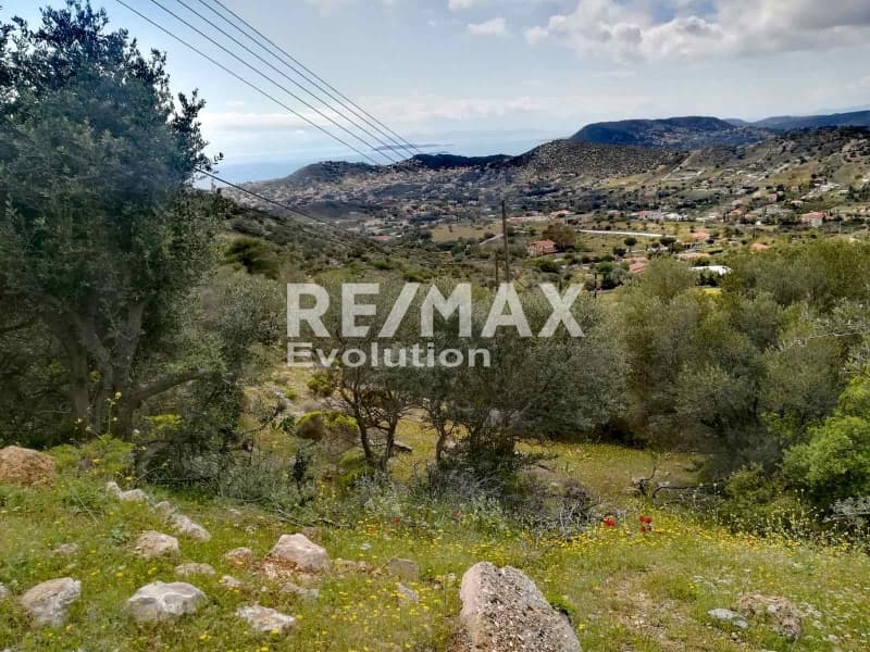 Αγροτεμάχιο στην Καλύβια, Καλύβια Θορικού — Φωτογραφία 8 από 11