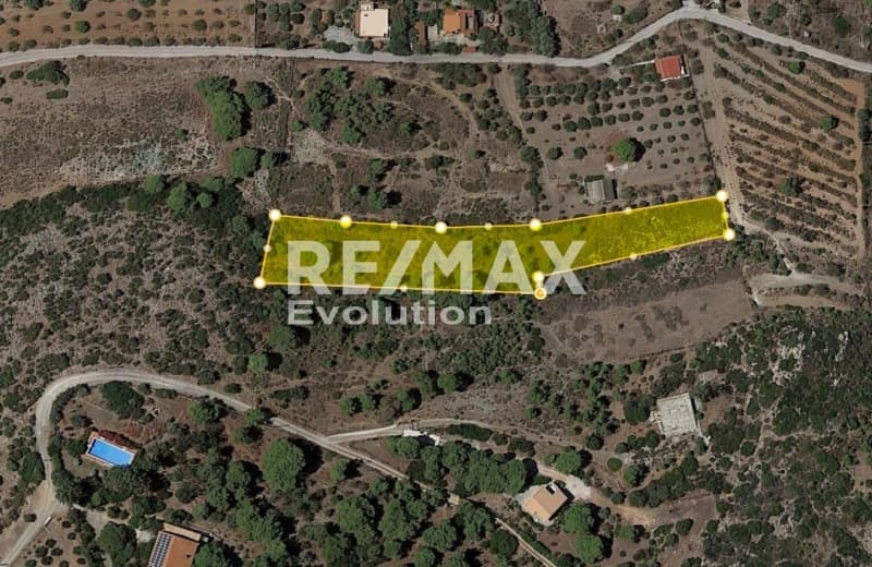 Αγροτεμάχιο στην Καλύβια, Καλύβια Θορικού — Φωτογραφία 4 από 11