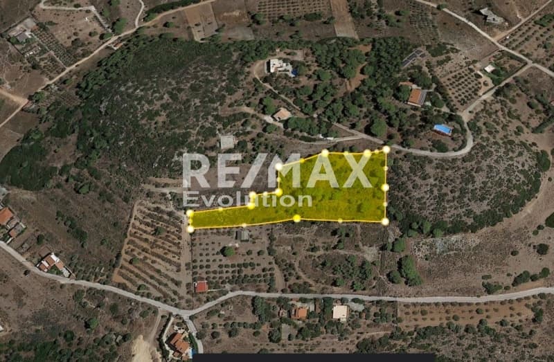 Αγροτεμάχιο στην Καλύβια, Καλύβια Θορικού — Φωτογραφία 5 από 11