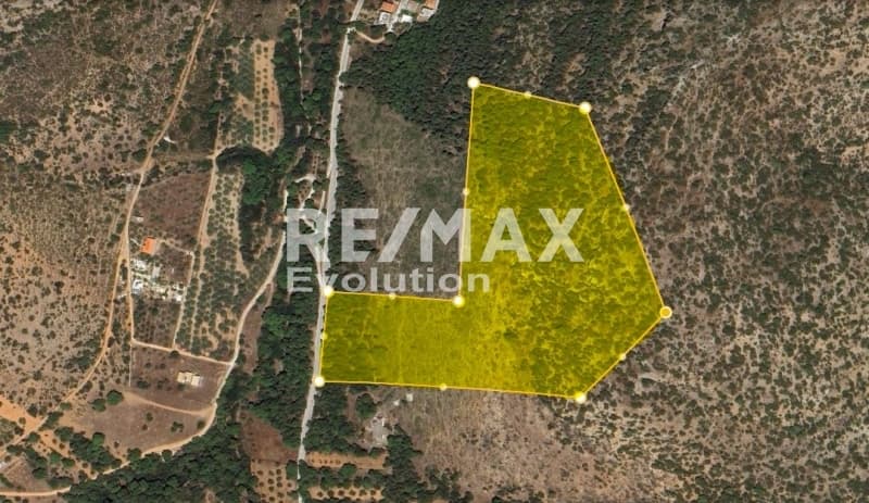 Αγροτεμάχιο στην Διόνυσος, Κερατέα — Φωτογραφία 9 από 12