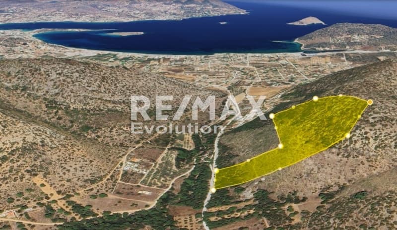 Αγροτεμάχιο στην Διόνυσος, Κερατέα — Φωτογραφία 7 από 12
