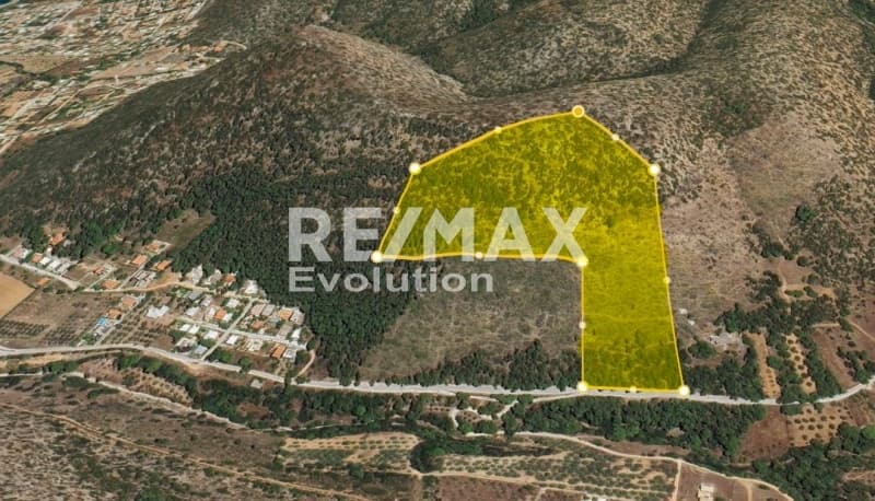 Αγροτεμάχιο στην Διόνυσος, Κερατέα — Φωτογραφία 11 από 12
