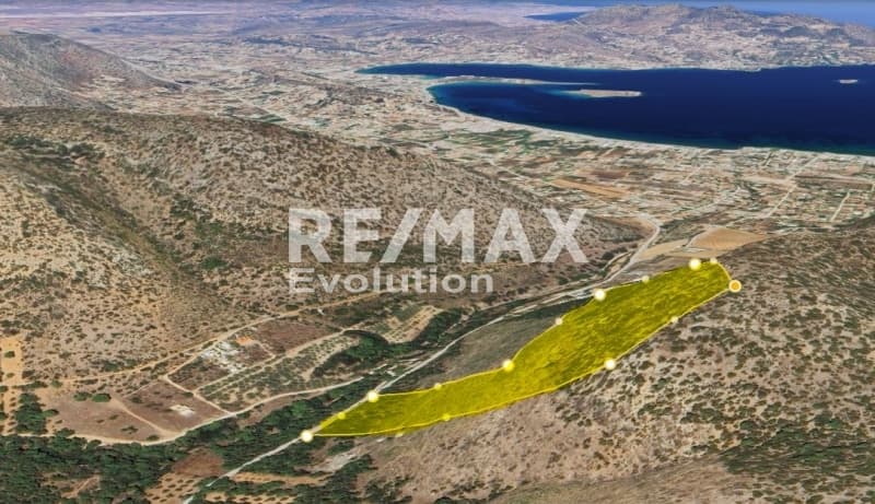 Αγροτεμάχιο στην Διόνυσος, Κερατέα — Φωτογραφία 8 από 12