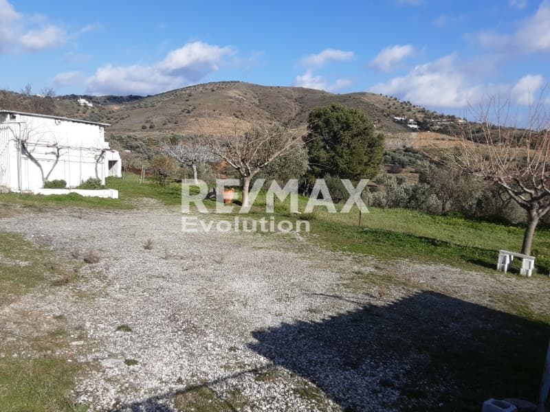 Οικόπεδο στην Βένιο Δασκαλειού, Κερατέα — Φωτογραφία 5 από 6