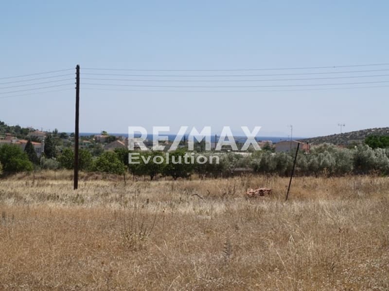 Αγροτεμάχιο στην Αγία Μαρίνα, Κορωπί — Φωτογραφία 2 από 3