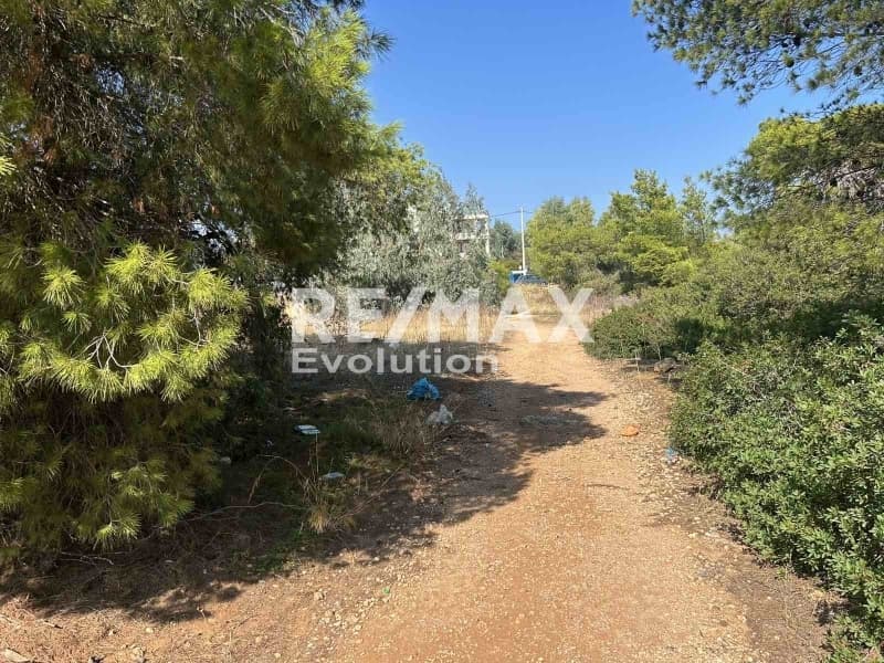 Οικόπεδο στην Άγιος Μηνάς, Αρτέμιδα (Λούτσα) — Φωτογραφία 1 από 3