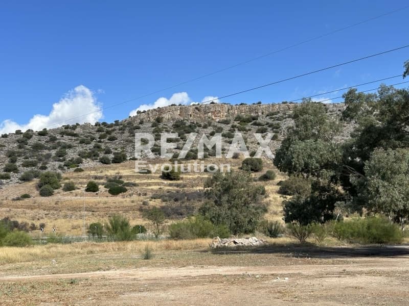 Αγροτεμάχιο στην Αγία Μαρίνα, Κορωπί — Φωτογραφία 6 από 6