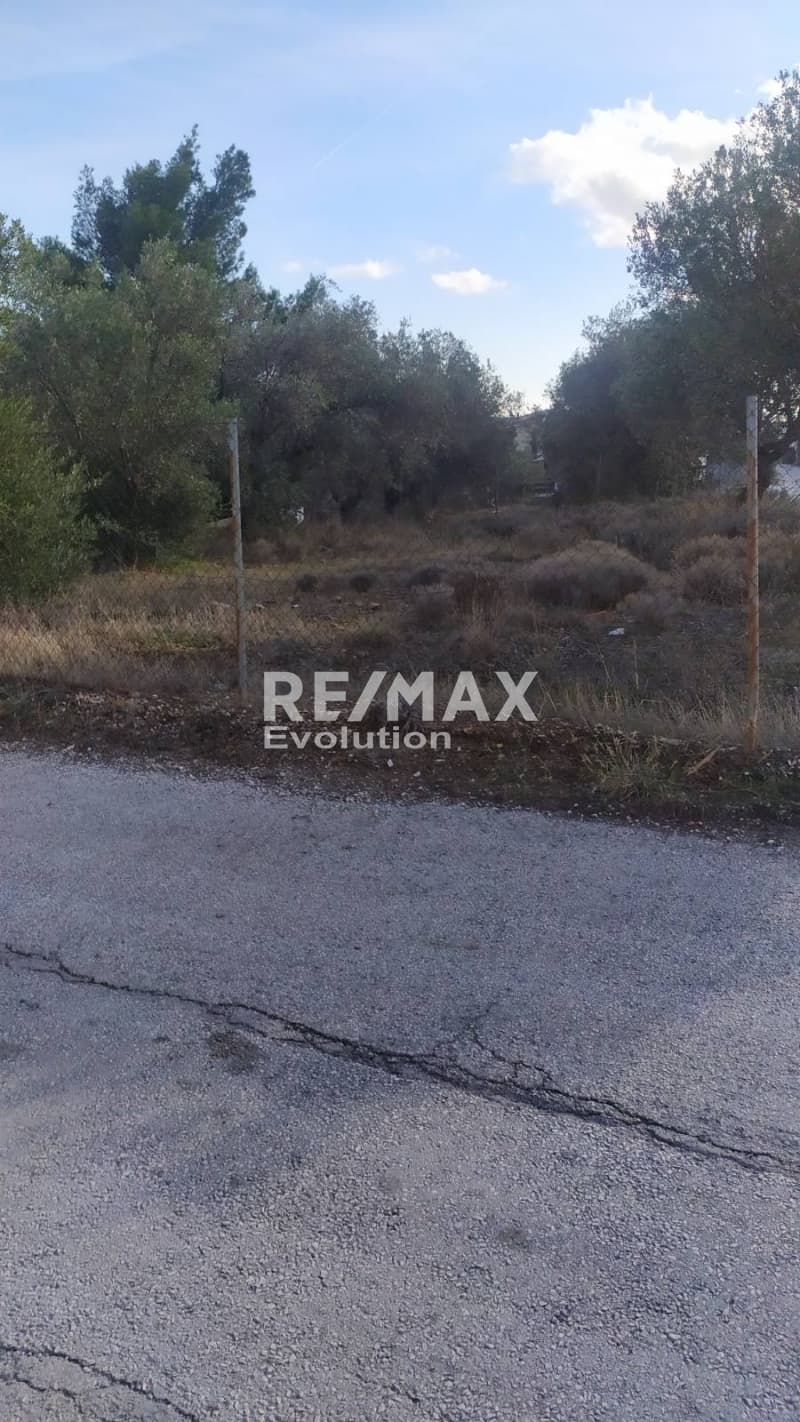 Οικόπεδο στην Καμάριζα, Λαύριο — Φωτογραφία 4 από 4