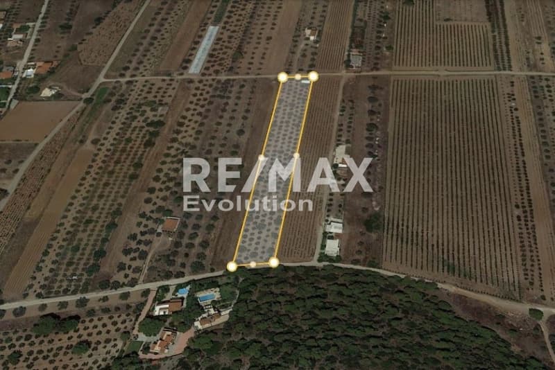 Parcel in ATE, Anavissos — Photo 1 of 3