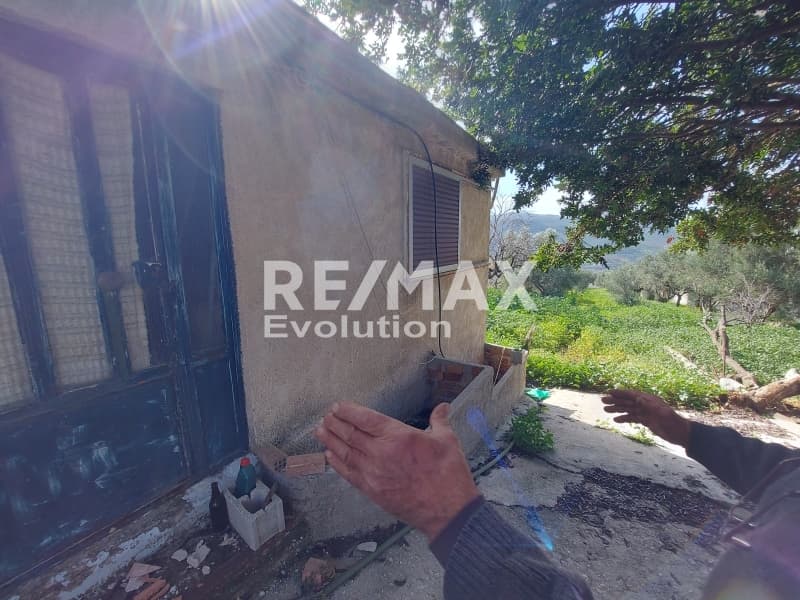 Μονοκατοικία στην Καλύβια, Καλύβια Θορικού — Φωτογραφία 9 από 10
