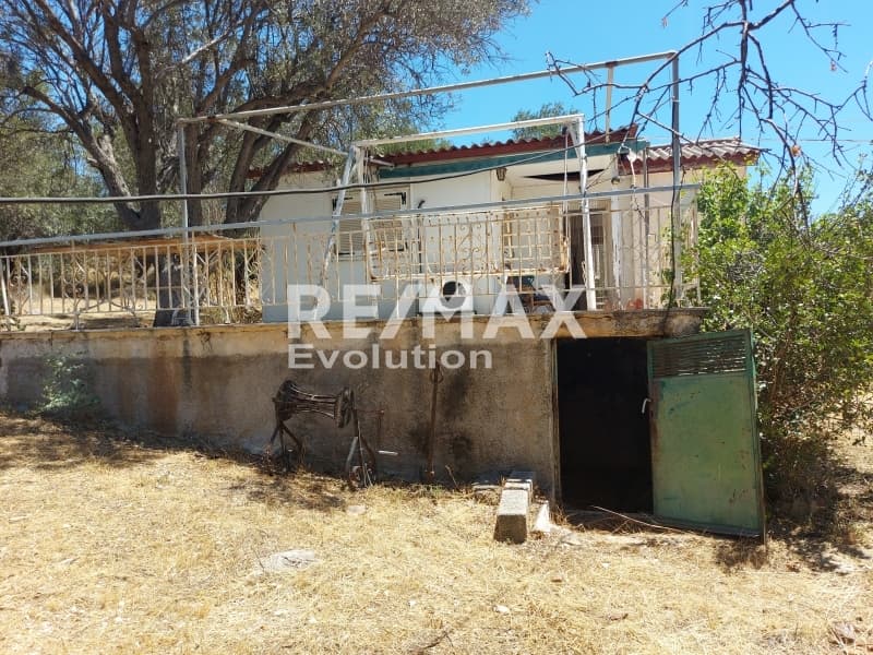 House in Katafigi, Palaia Fokaia — Photo 5 of 6