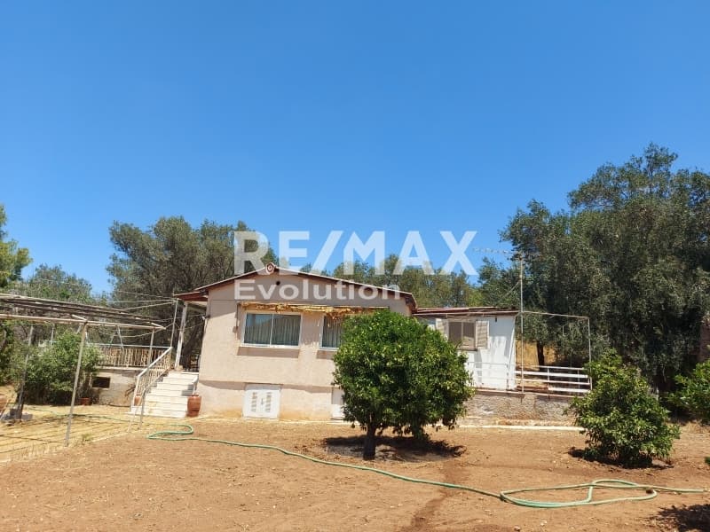 House in Katafigi, Palaia Fokaia — Photo 1 of 6