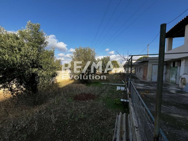 Μονοκατοικία στην Γαλάζια ακτή, Καλύβια Θορικού — Φωτογραφία 13 από 30