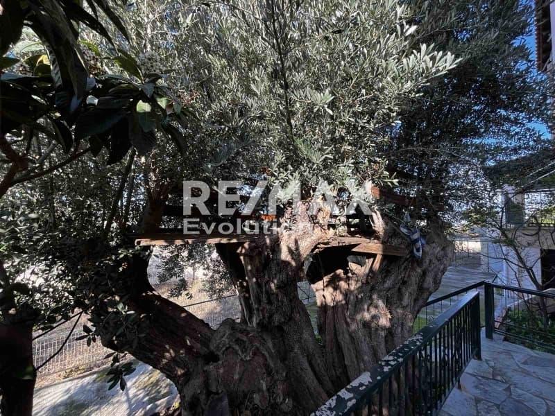Μονοκατοικία στην Γαλάζια ακτή, Καλύβια Θορικού — Φωτογραφία 22 από 30