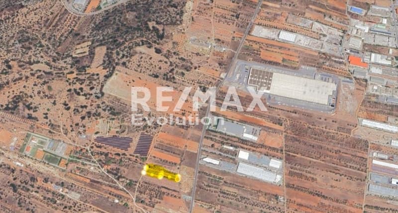 Parcel in Profarta, Markopoulo — Photo 4 of 4