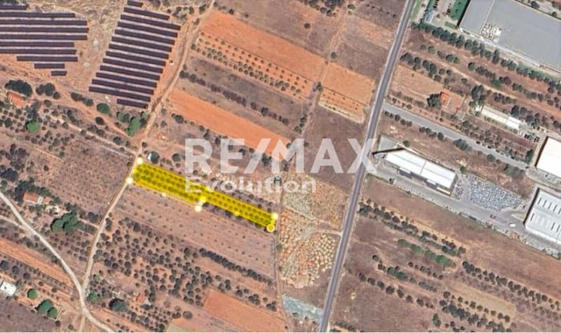 Parcel in Profarta, Markopoulo — Photo 3 of 4