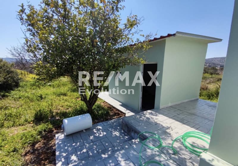 House in Lamprika, Koropi — Photo 13 of 23