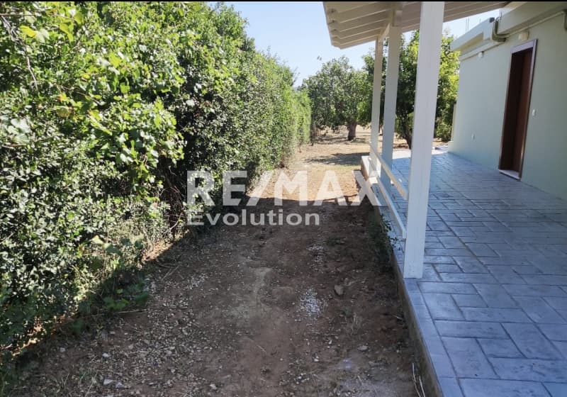 House in Lamprika, Koropi — Photo 16 of 23