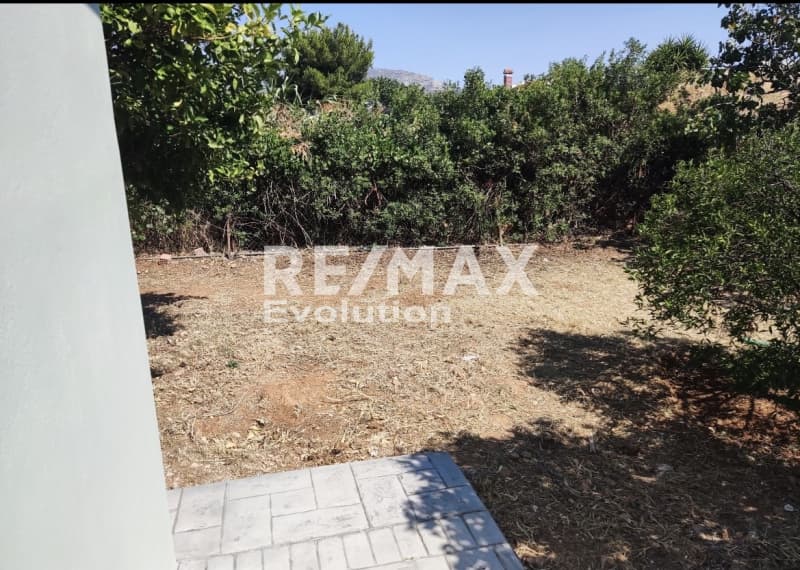 House in Lamprika, Koropi — Photo 21 of 23