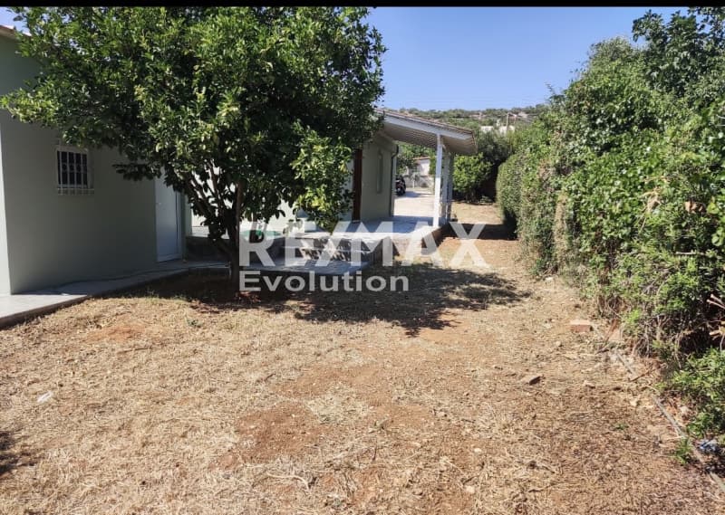 House in Lamprika, Koropi — Photo 18 of 23