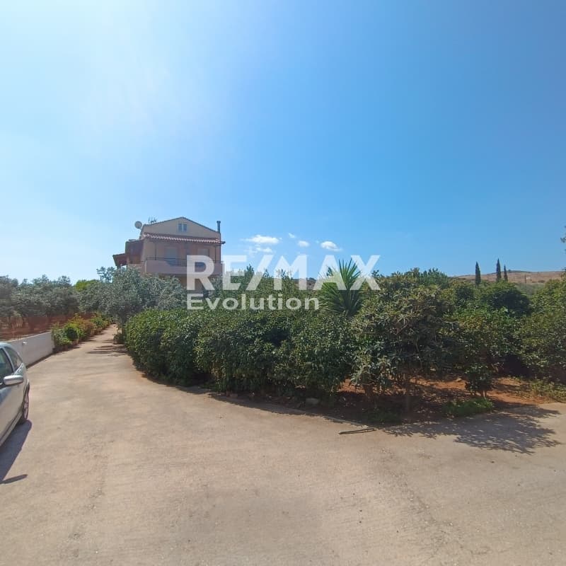 House in Lamprika, Koropi — Photo 1 of 30