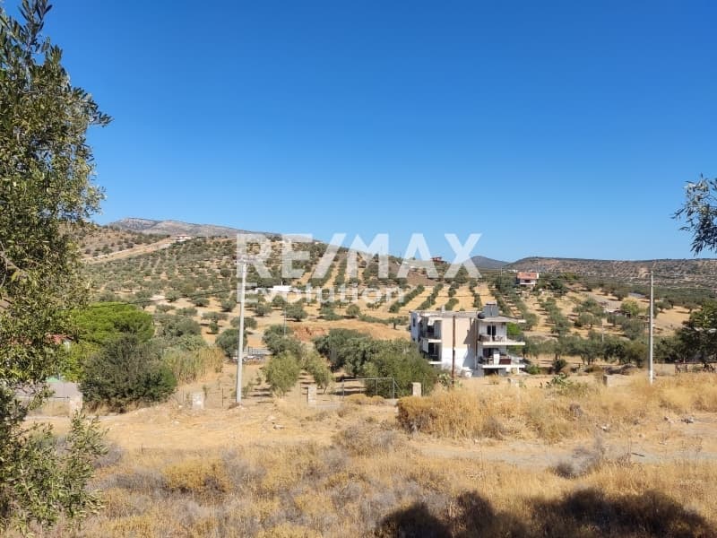 Αγροτεμάχιο στην Βένιο Δασκαλειού, Κερατέα — Φωτογραφία 1 από 6