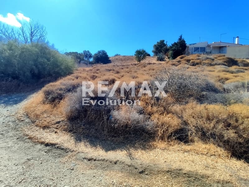 Αγροτεμάχιο στην Βένιο Δασκαλειού, Κερατέα — Φωτογραφία 4 από 6