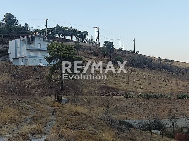 Αγροτεμάχιο στην Ριμπάρι, Κερατέα — Φωτογραφία 7 από 10