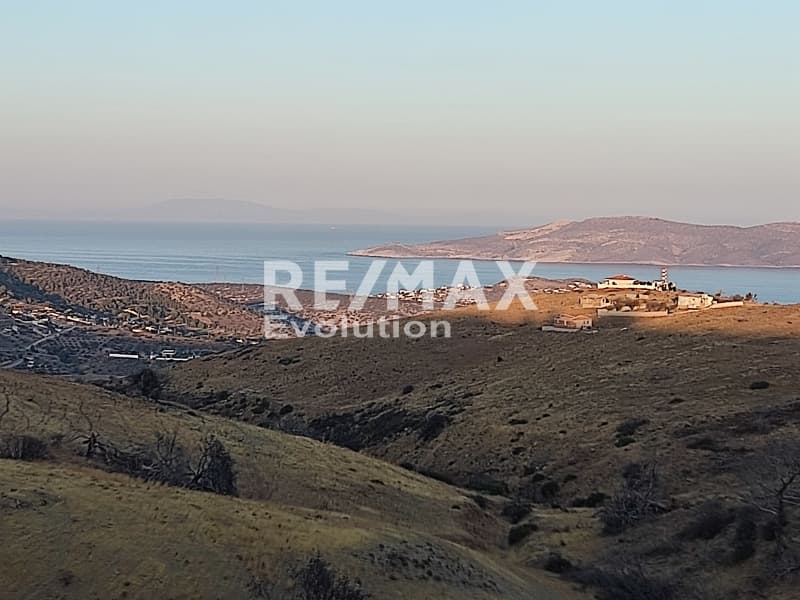 Αγροτεμάχιο στην Ριμπάρι, Κερατέα — Φωτογραφία 5 από 10