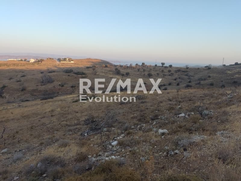 Αγροτεμάχιο στην Ριμπάρι, Κερατέα — Φωτογραφία 3 από 10