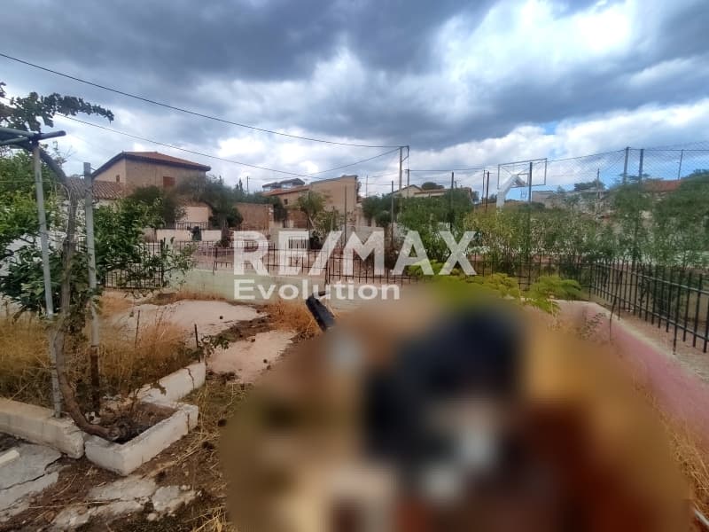 Μονοκατοικία στην Άνω Θορικό, Λαύριο — Φωτογραφία 2 από 6