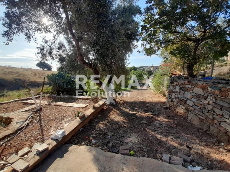 Μονοκατοικία στην Καμάριζα, Λαύριο — Φωτογραφία 9 από 16