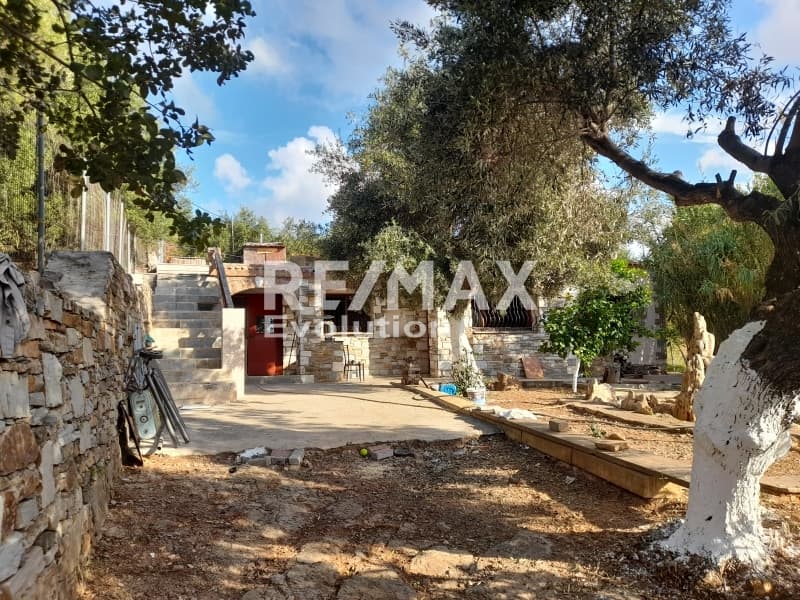 Μονοκατοικία στην Καμάριζα, Λαύριο — Φωτογραφία 6 από 16