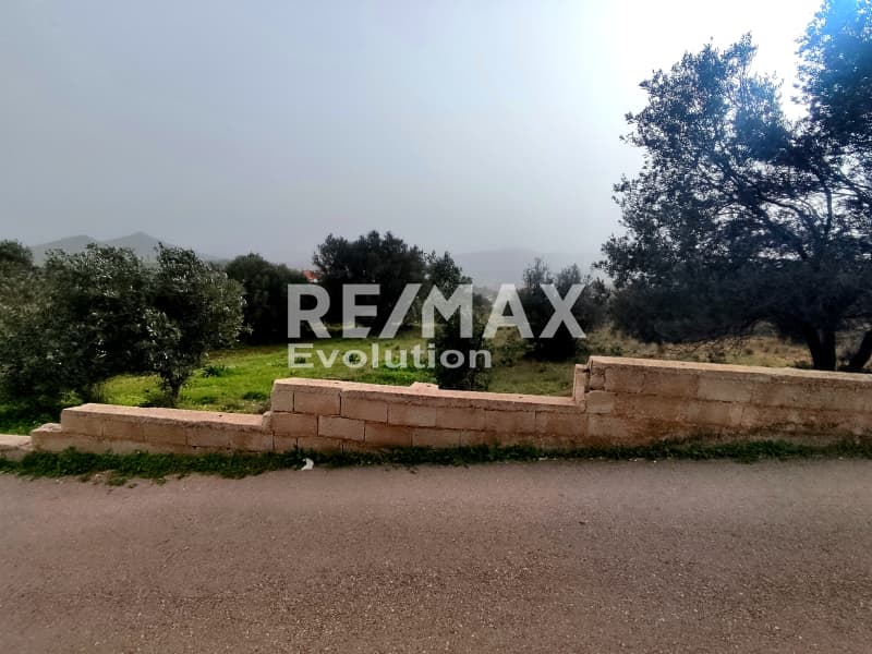 Αγροτεμάχιο στην Παλιοκαμάριζα, Λαύριο — Φωτογραφία 2 από 4