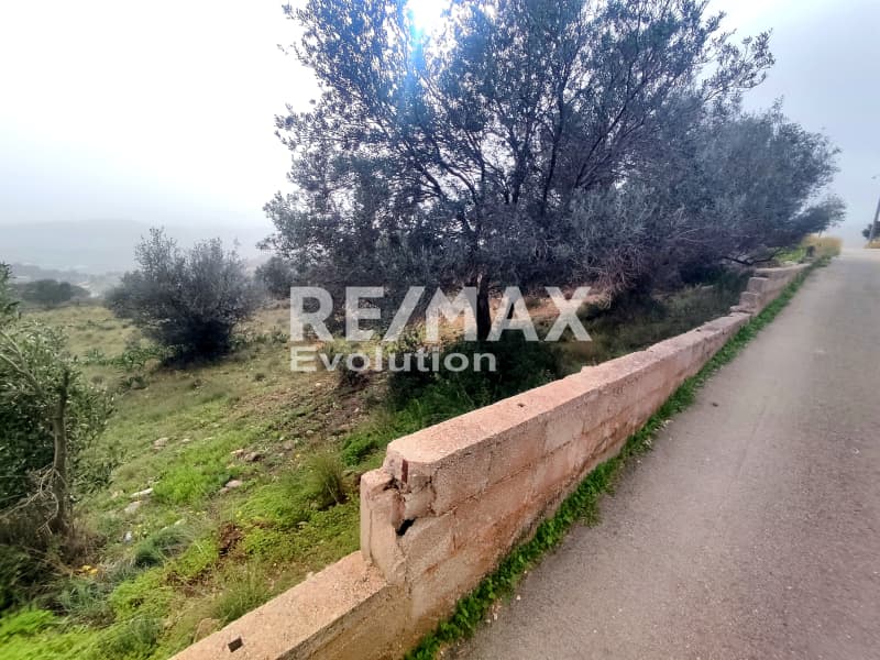 Αγροτεμάχιο στην Παλιοκαμάριζα, Λαύριο — Φωτογραφία 3 από 4