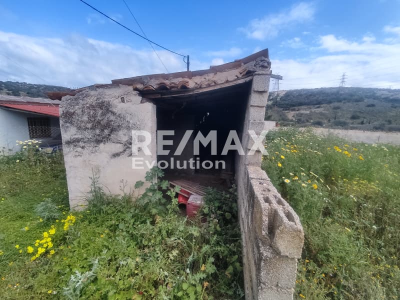 Μονοκατοικία στην Ελαιοχώρι, Λαύριο — Φωτογραφία 11 από 11