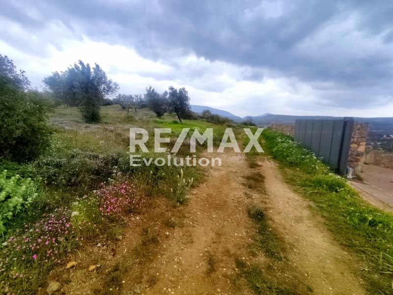 Αγροτεμάχιο στην Μύλος, Κερατέα — Φωτογραφία 5 από 8