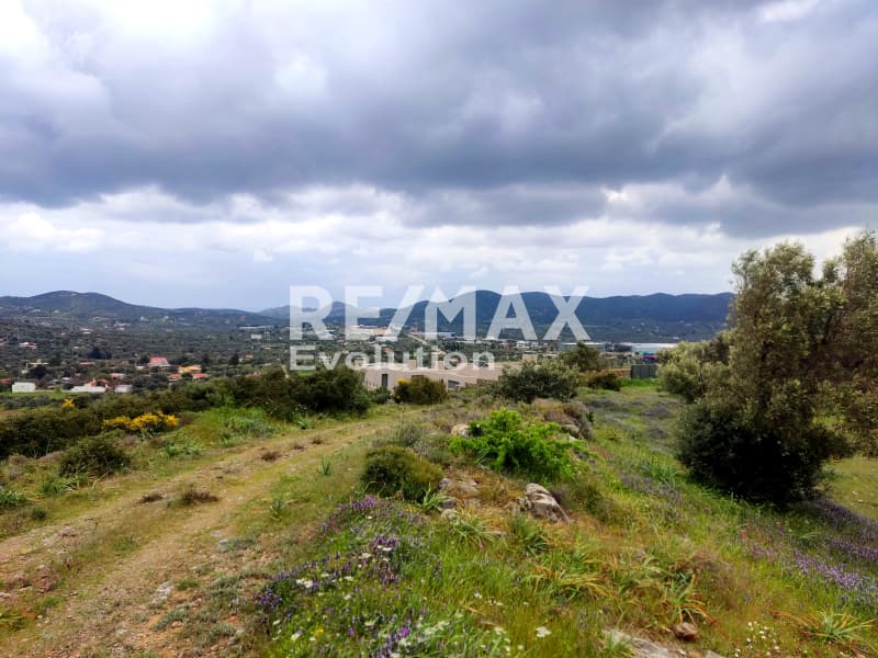 Αγροτεμάχιο στην Μύλος, Κερατέα — Φωτογραφία 8 από 8