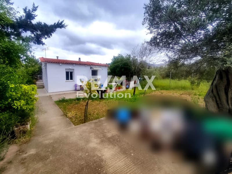 House in Rountzeri Lemprou, Keratea — Photo 9 of 29