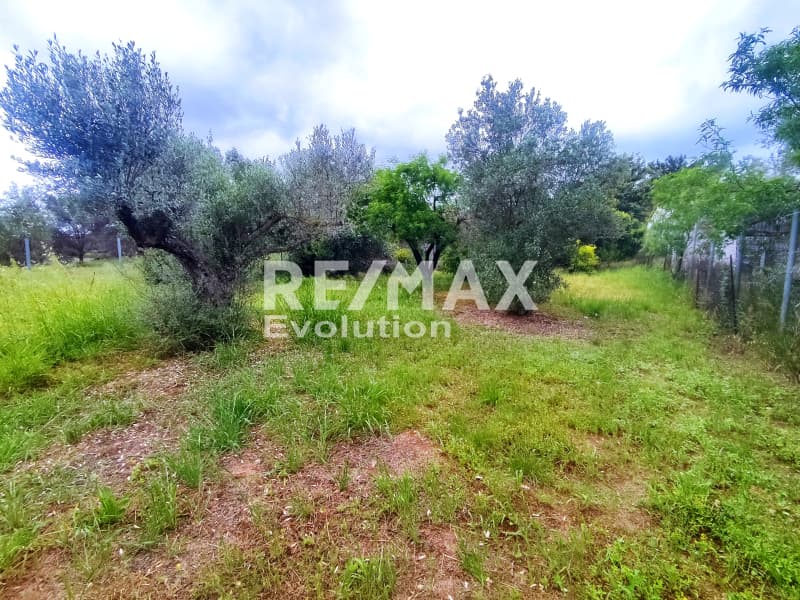 House in Rountzeri Lemprou, Keratea — Photo 16 of 29