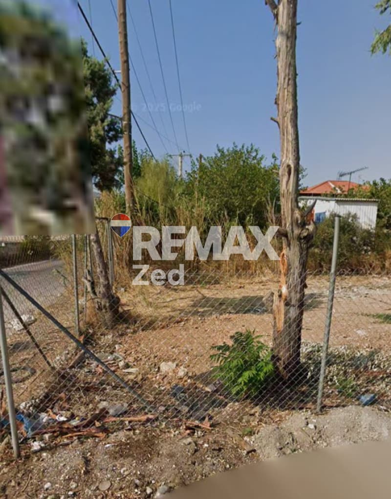 Οικόπεδο στην Αγριλέζα, Ανθηδώνος — Φωτογραφία 6 από 6