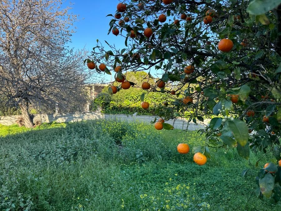 Οικόπεδο στην Άγιος Σεραφείμ, Αρτέμιδα (Λούτσα) — Φωτογραφία 1 από 10