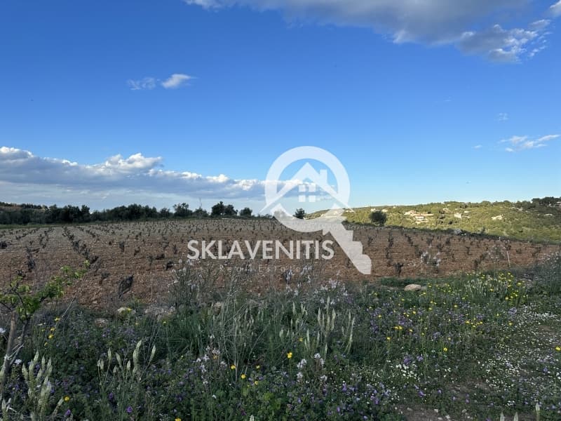 Αγροτεμάχιο στην Νεάπολη, Σπάτα — Φωτογραφία 3 από 5
