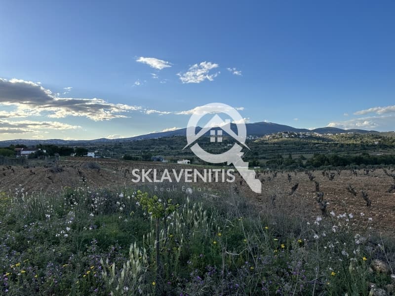 Αγροτεμάχιο στην Νεάπολη, Σπάτα — Φωτογραφία 2 από 5